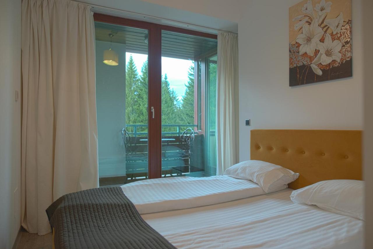 Luxapartment 포이아나브라소프 외부 사진