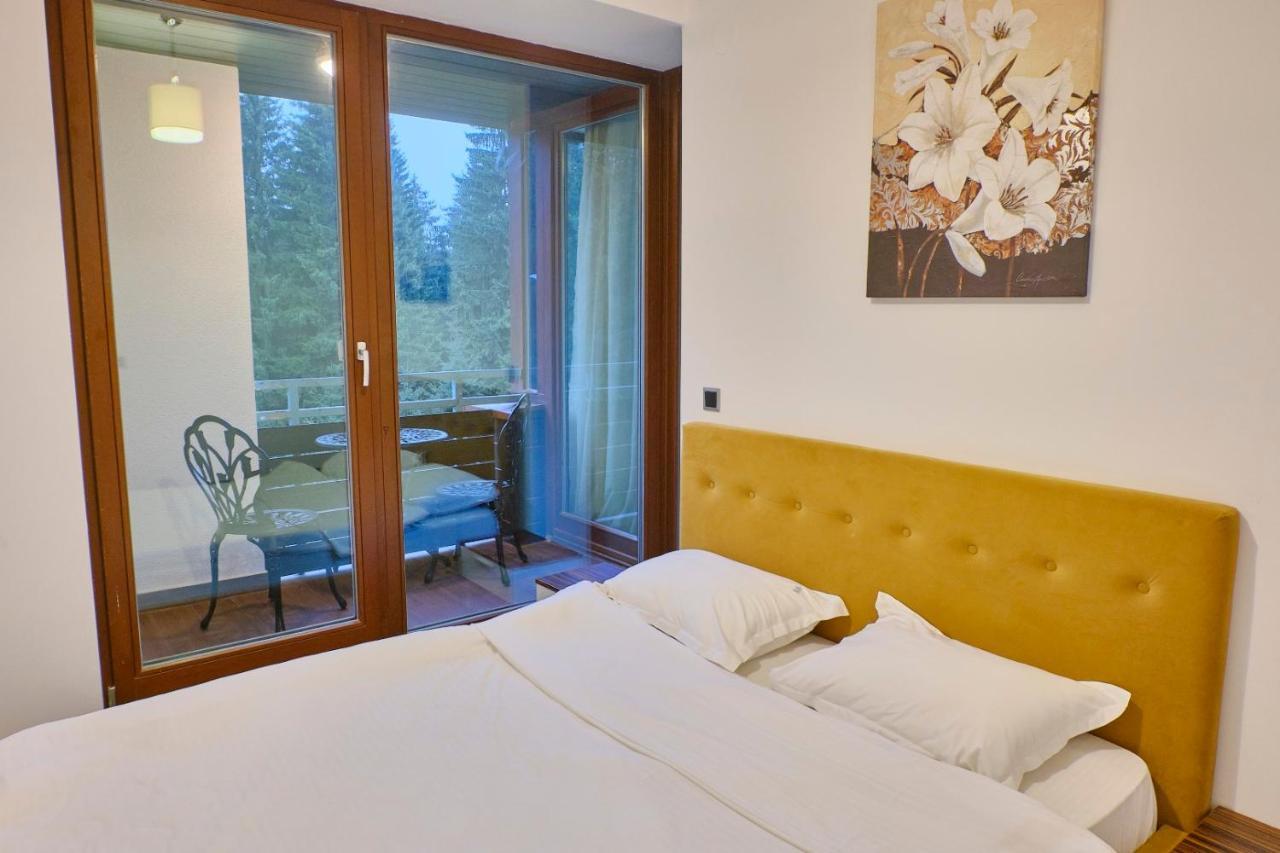 Luxapartment 포이아나브라소프 외부 사진